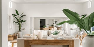 Coconut Palm Club Gallery 20