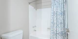 Oak Tree Court Gallery 22