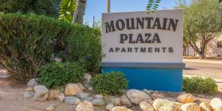 Mountain Plaza Gallery 26
