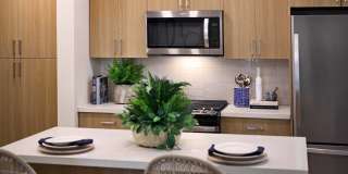 Luma at El Corazon Gallery 12