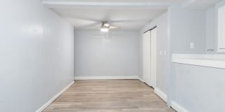 561 Singer Drive - B Gallery 20