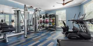 District 2308 Gallery 21