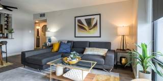 Iris Gallery 7
