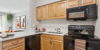 Renew Belcamp Gallery 1