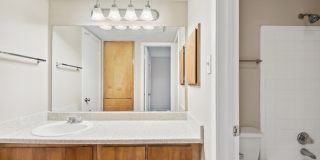 River Oaks Gallery 29