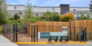 Allegro Lynwood Gallery 10