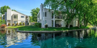 Edgewater Gallery 38