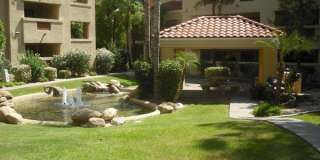 Biltmore / Arcadia Lite - 32nd St & Camelback Gallery 22
