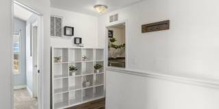 7509 Sistine Lane Gallery 18