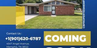 4547 Angel Ave Gallery 1