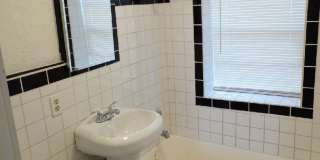 Pine Lake #3 Gallery 1