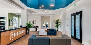 The Montgomery Gallery 17