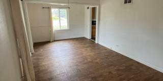 3 Bedroom 1 Bathroom Ranch in East Denver! Gallery 3
