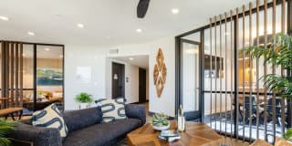 Coastline Ventura Gallery 15