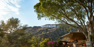 Sunset and Vine Sunset and Vine Gallery 6