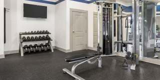 CityPark View Gallery 18