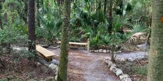 3829 SPRUCE PINE DRIVE Gallery 80