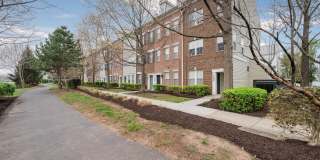 42461 ROCKROSE Square Gallery 4