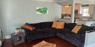 38 Clayton Avenue Gallery 2