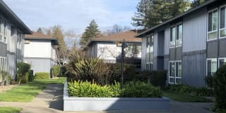 Bella Vista Gallery 17