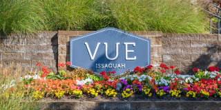 Vue Issaquah Gallery 53