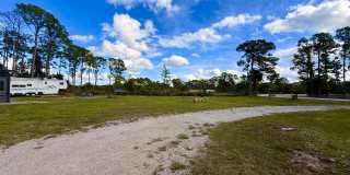 16031 78th Road N Gallery 5