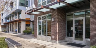 Springline Gallery 43