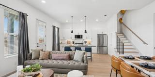 Vireo Twelve Oaks Gallery 3