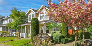 Washington Court Gallery 1