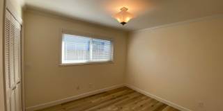 856 Marino Pines Road Gallery 20