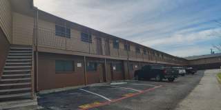 Buena Vida Gallery 3