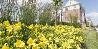 Woodmont Station at Cranford Gallery 28