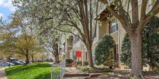 21877 ELKINS Terrace Gallery 24