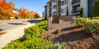 Discovery Heights Discovery Heights Gallery 36