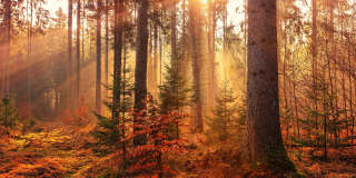 Fox Ridge Apartments Gallery 17