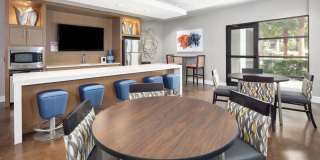 Solara Gallery 15