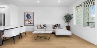 249 Steely Gallery 7