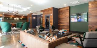 Live 8 West Gallery 36