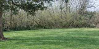 Cozy 1-Bed, 1-Bath Home – Comfort and Charm in Every Corner Gallery 23