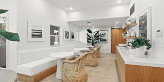 Coconut Palm Club Gallery 31