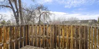Forest Cove Gallery 6