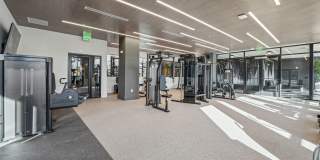 The Quill by Alta Gallery 20