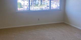 Vantage Point Gallery 7