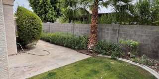 20230 N 63rd Drive Gallery 6