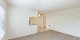 Elán The Plaza Apartments Gallery 7