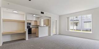 Logger Creek Gallery 13