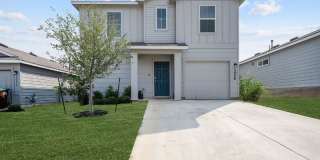 15358 Brown Violetear Gallery 1