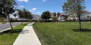 16458 Globetrotter Gallery 38