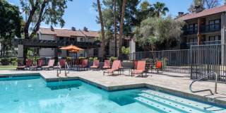 Renaissance Gallery 29