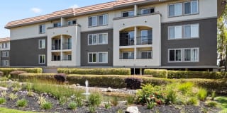 Northpark Gallery 15